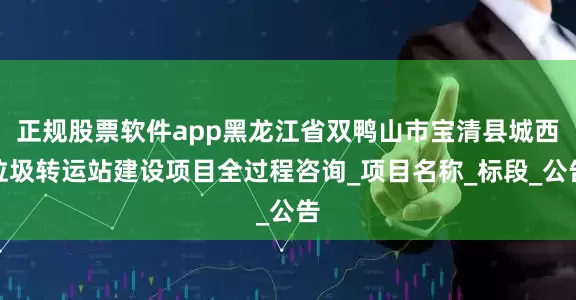 正规股票软件app黑龙江省双鸭山市宝清县城西垃圾转运站建设项目全过程咨询_项目名称_标段_公告