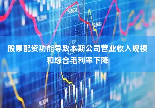 股票配资功能导致本期公司营业收入规模和综合毛利率下降