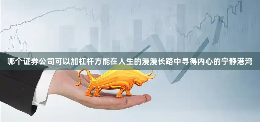 哪个证券公司可以加杠杆方能在人生的漫漫长路中寻得内心的宁静港湾