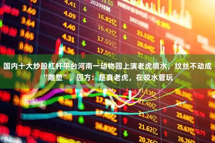 国内十大炒股杠杆平台河南一动物园上演老虎喷水，纹丝不动成“雕塑”，园方：是真老虎，在咬水管玩